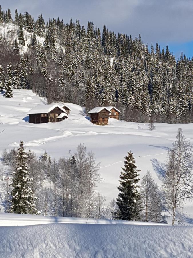 Kvambekk Gard I Amotsdal Villa Eksteriør billede